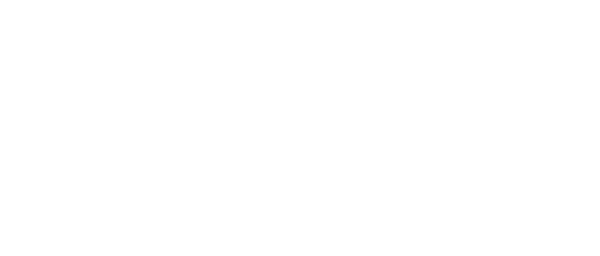 wellness at alpamare logo.png